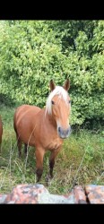 photo de Lolita de Bournac