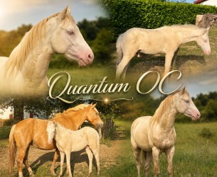 photo de Quantum Doudou