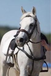 photo de Bazara d’Andorge